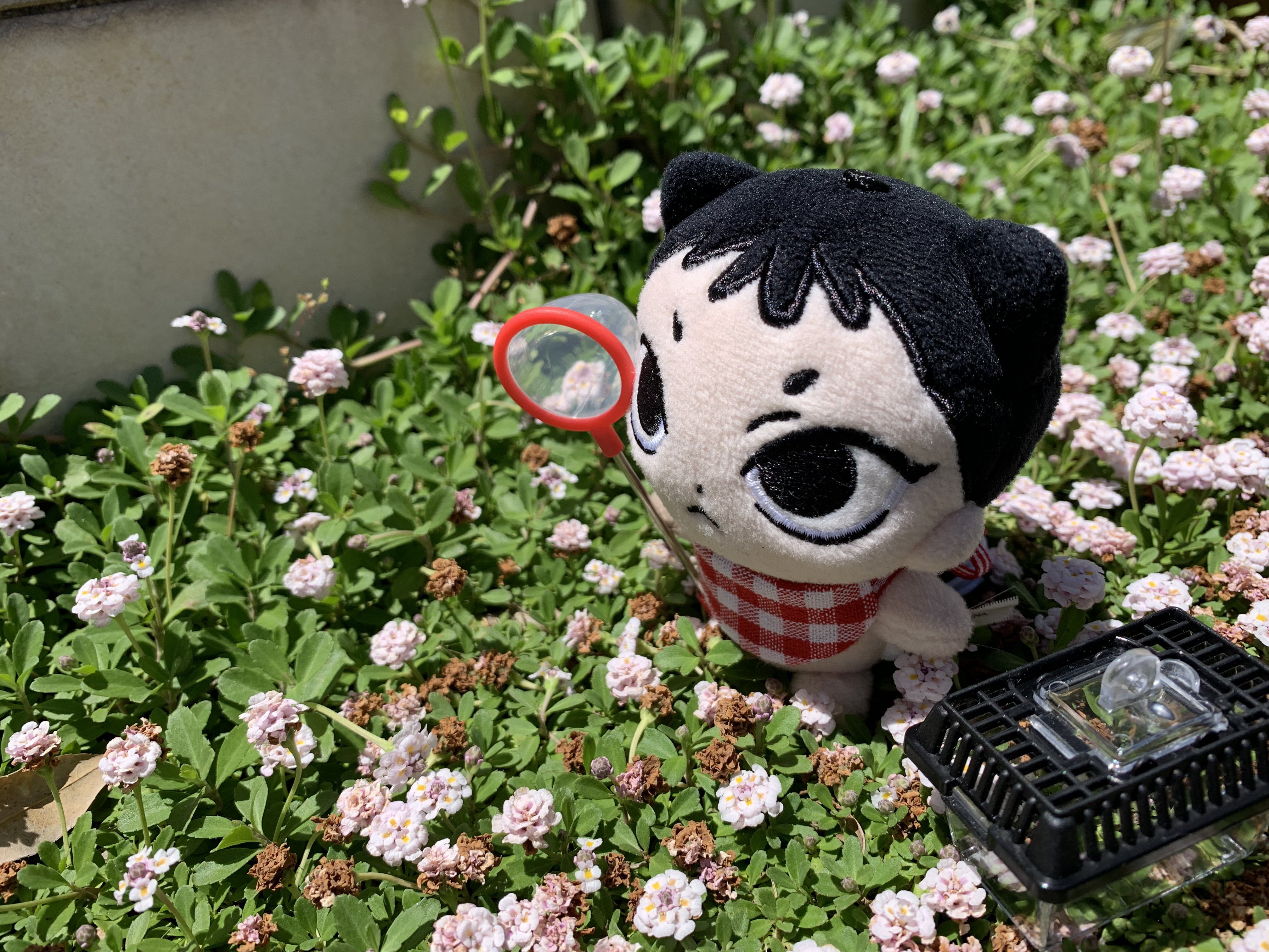 wayv nct 威神v テン テンニャン ぬいぐるみ 15cm 2025年最新】wayV テン ぬいぐるみ テンにゃんの人気アイテム