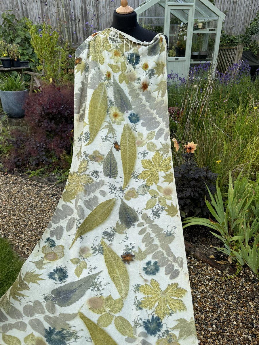 Jane Goodall tweet media