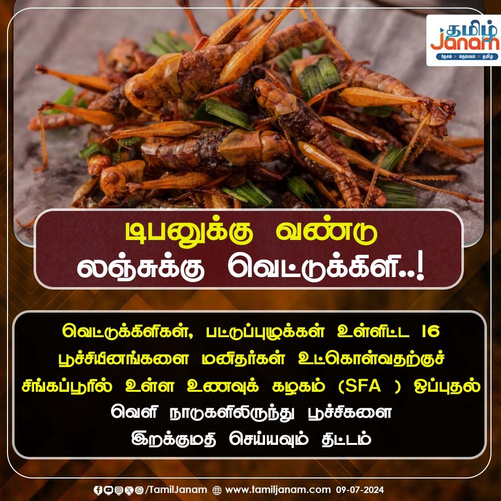 TamilJanamNews's tweet image. டிபனுக்கு வண்டு லஞ்சுக்கு வெட்டுக்கிளி..!

#SINGAPORE #restaurent #insects #dish #tamiljanam