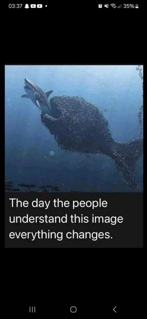Crypto_INQ's tweet photo. #BITCOIN #cryptocurrency #crypto https://t.co/ldk7S5hctr