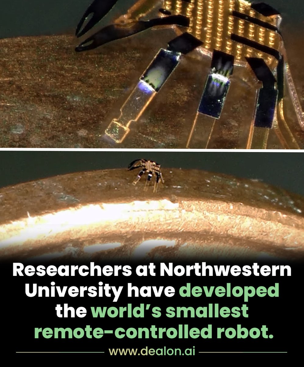 dealonai's tweet image. Northwestern University researchers have unveiled the world&apos;s smallest remote-controlled robot, a wonder smaller than a flea at just half a millimeter wide!

#AI #engineering #microrobotics #science #future #tech #DealonAI