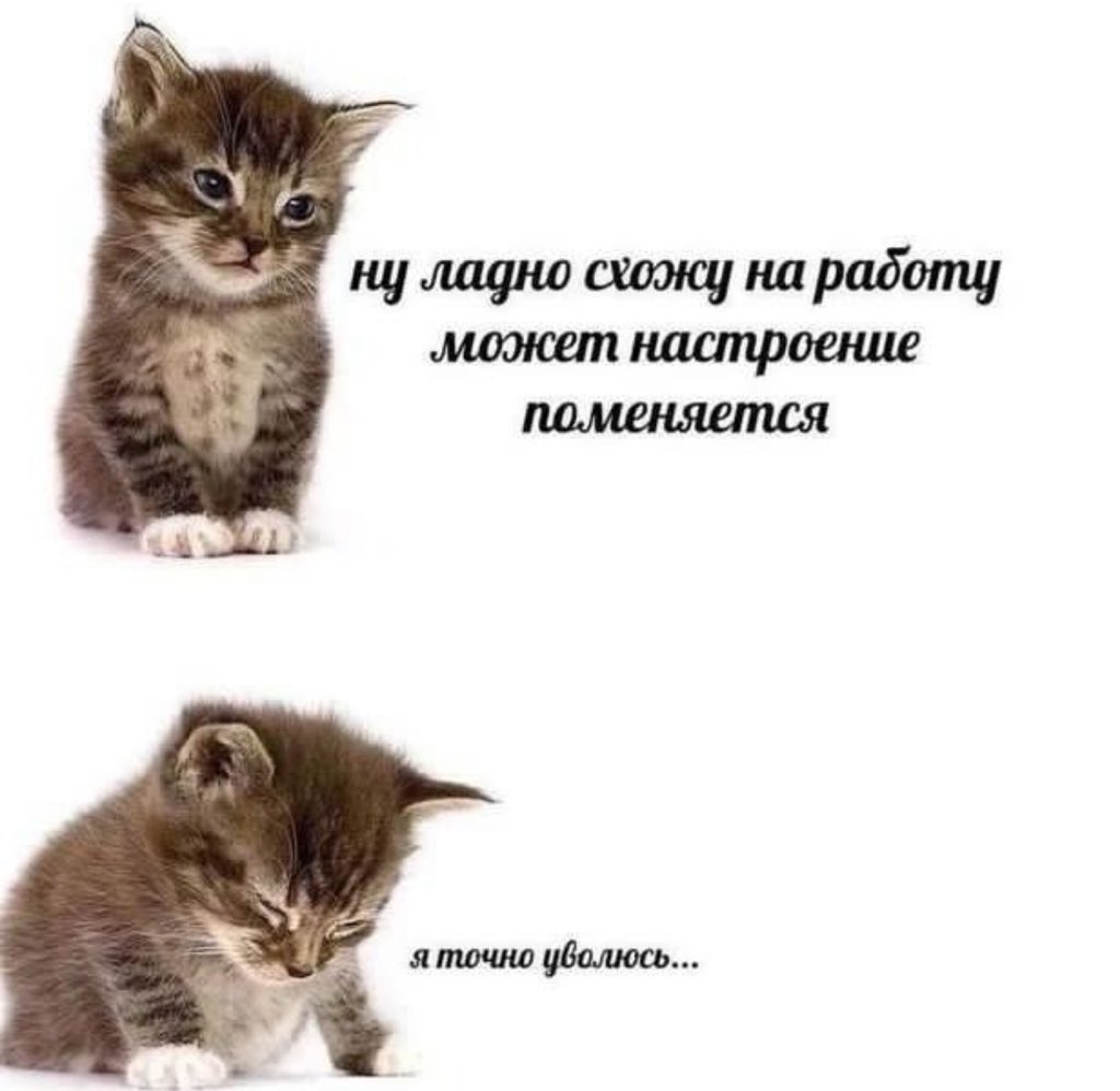 treschenko24's tweet photo. Мы? https://t.co/7MWCJNEdQv