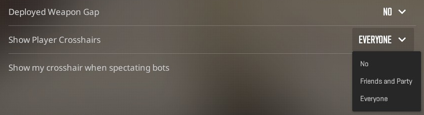 I would like the CS2 devs to give us the option to disable seeing other players' viewmodels. Similar to the "Show Player Crosshairs" setting, please add a "Show Player Viewmodels" setting. Some viewmodels are very distracting and unpleasant to look at.

Ty <a href="/CounterStrike/">CS2</a> 🫡
