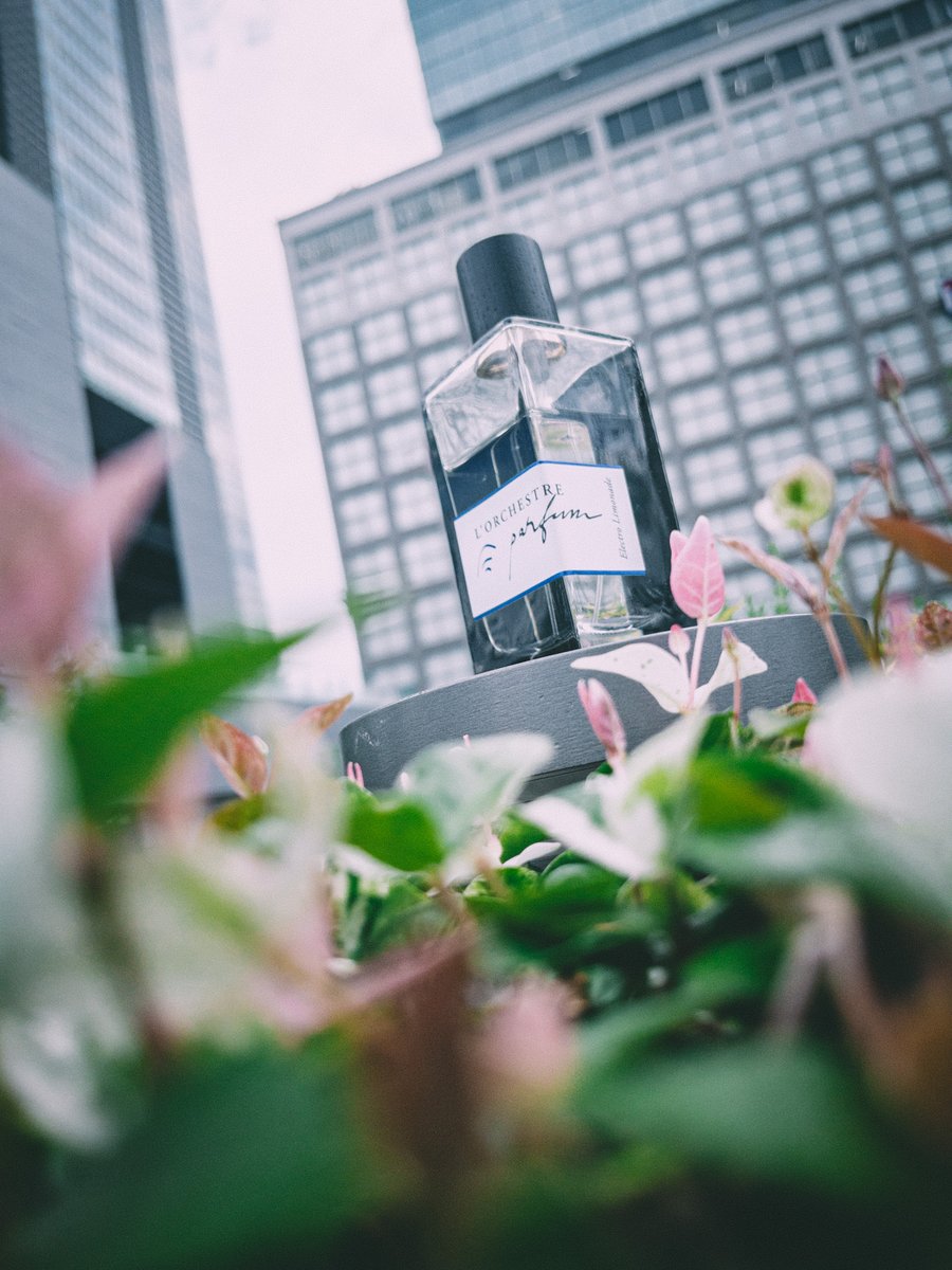 L'Orchestre Parfum エレクトロ リモナード