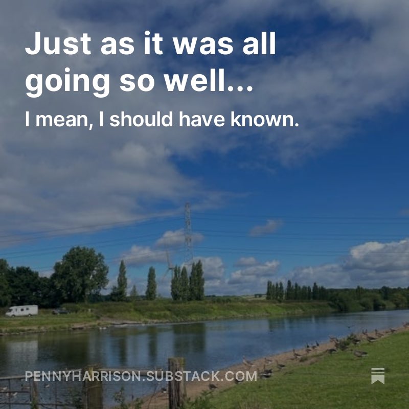 Penny Harrison Writer tweet media