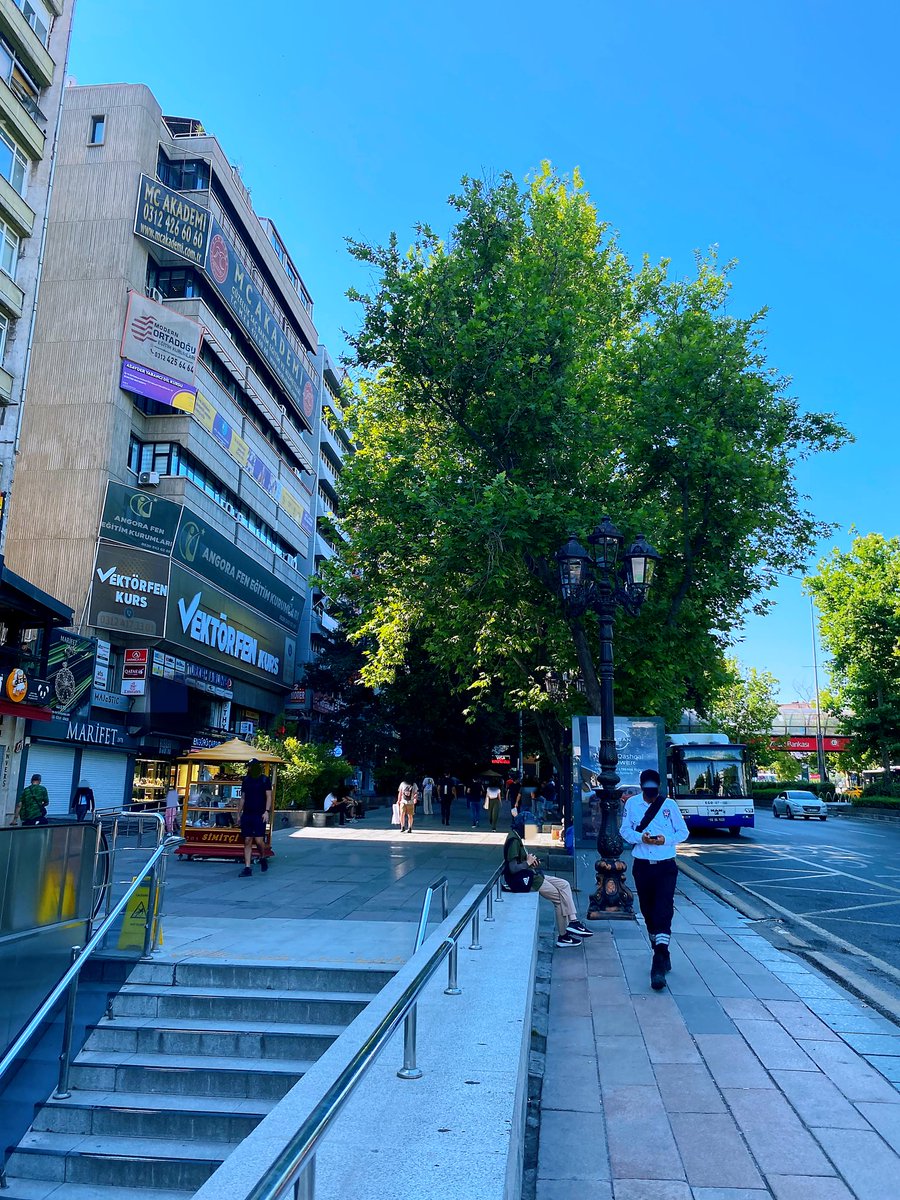 Your daily dose of Ankara 🌳