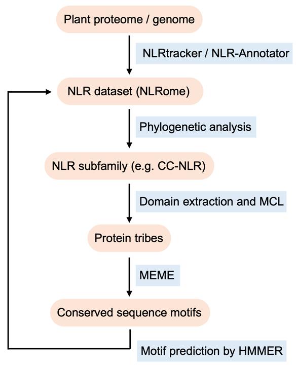 Phylogenomics of Plant NLR Immune Receptors to Identify Functionally Conserved Sequence Motifs: bio-protocol.org/en/bpdetail?id…

Explore publishing with Bio-protocol at bio-protocol.org/en/psi.

#openaccess #reproducibility #lifesciences #research #plantscience