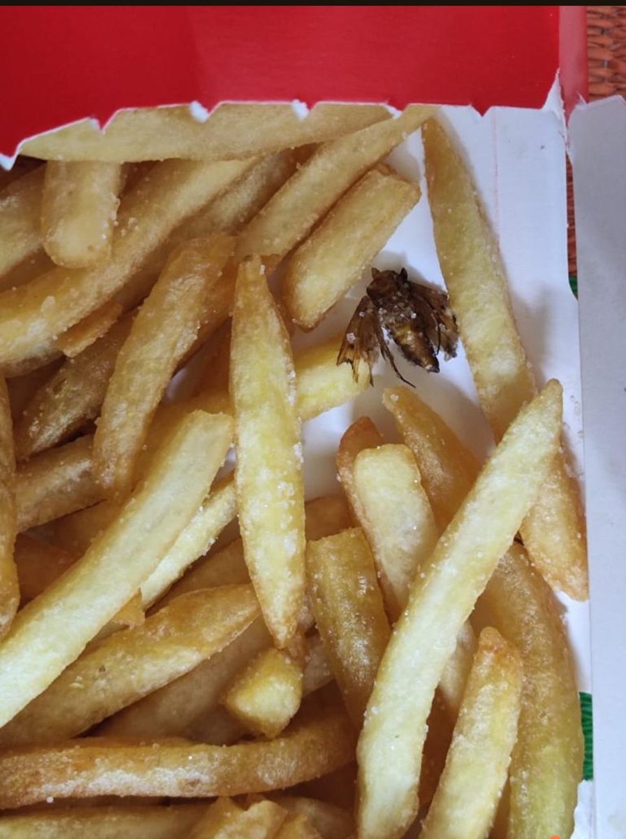 Prathamesh19057's tweet photo. I found a moth in my fries Despite reaching out to the FSSAI and McDonald's I have not received any assistance. I have reached out to McDonald's on Instagram and also sent formal Legal Notices and haven't received a proper resolution.  #FoodSafety #CustomerService #HealthConcern https://t.co/26UjA2RUkl