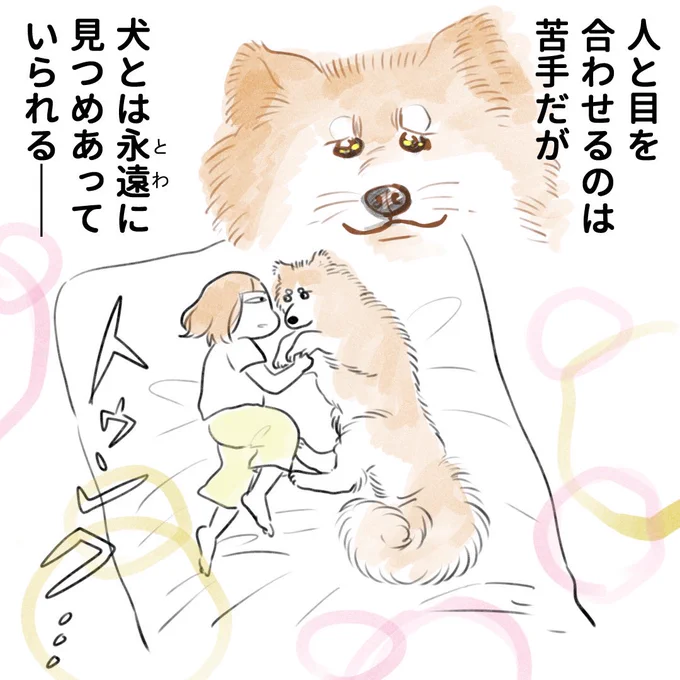 犬、存在が大感謝祭