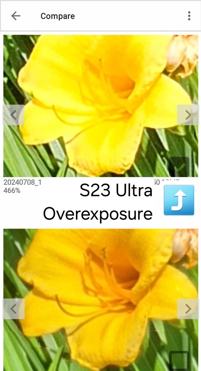 jgj1920's tweet photo. @UniverseIce @Samsung, please fire everyone who has worked on your cameras since the #S23Ultra. 

And take the competition seriously. #vivo #xiaomi #oppo, and even #Apple https://t.co/JsFWv9dbRA