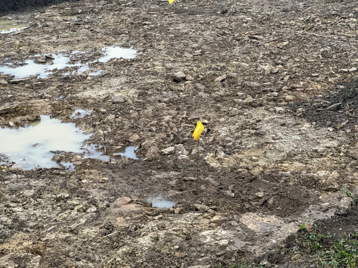 richardhosgood's tweet photo. A VERY soggy day 1 on our Cotswold dig didn’t make things easy, but trench one is now almost open and features are appearing…. #archaeology #wellbeing #veterans #saxon https://t.co/cOoy2WTsV2