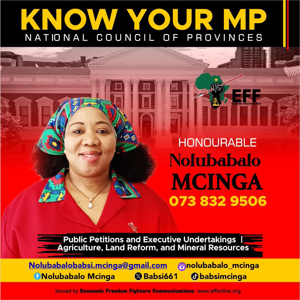 EFFSouthAfrica's tweet photo. ♦️Know Your EFF MPs♦️

The EFF has confidence in the individual and collective capacity of the commissars and fighters to add maximum value in holding the executive accountable, fighting for service delivery, and the transfer of wealth to the majority of the people who continue to suffer economic exclusion.

Follow Your EFF MPs here:

 @NalediChirwa 
@Babsi661 
@VirgillGericke1 

#EFFInParliament