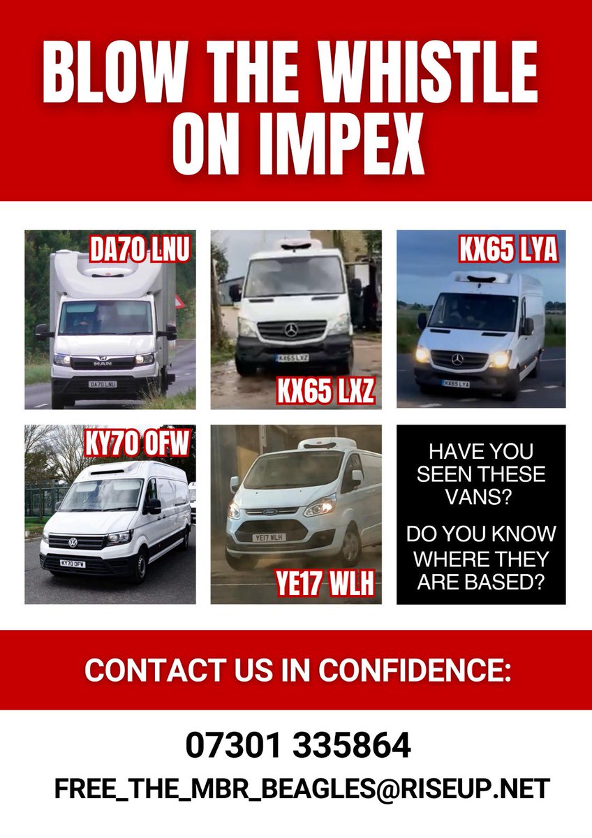 Free The MBR Beagles tweet media