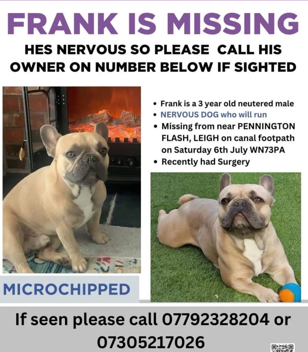 robsthomas's tweet photo. ANY INFORMATION AT ALL PLEASE CALL THE BELOW NUMBERS. Bring Frank Home. https://t.co/fiT6uGdh43