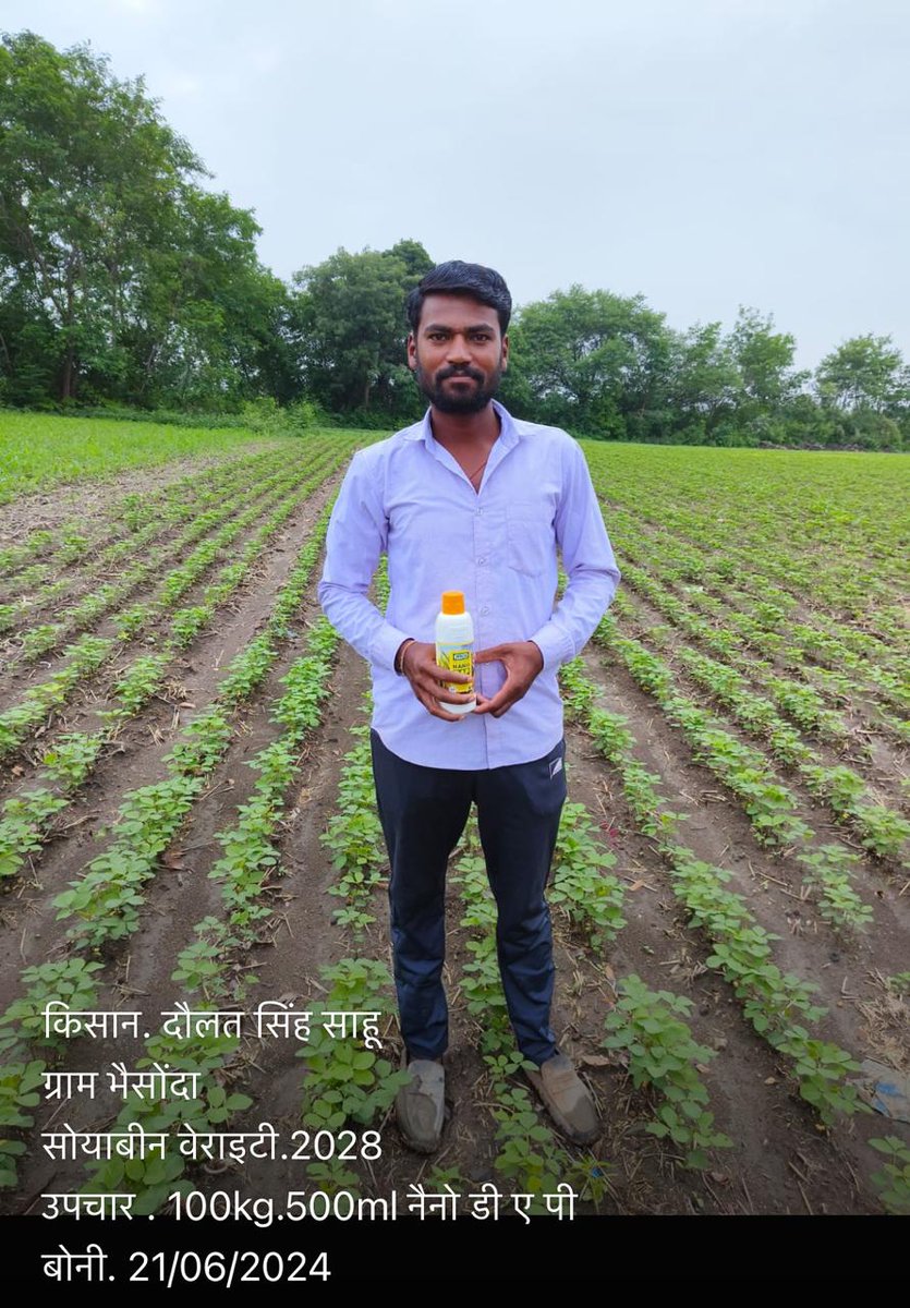 fo_bhopal's tweet photo. नैनो उर्वरक संवर्धन महाभियान के तहत जिला भोपाल के भैंसोदा गांव में #नैनोडीएपी से सोयाबीन बीज को उपचारित कर बुबाई की गई है जिसके बहुत अच्छे परिणाम प्राप्त हुए हैं। @IFFCO_MP @iffcoyogendra @RajneeshPandey5 @TarunenduSingh https://t.co/dBUz1aMg9H