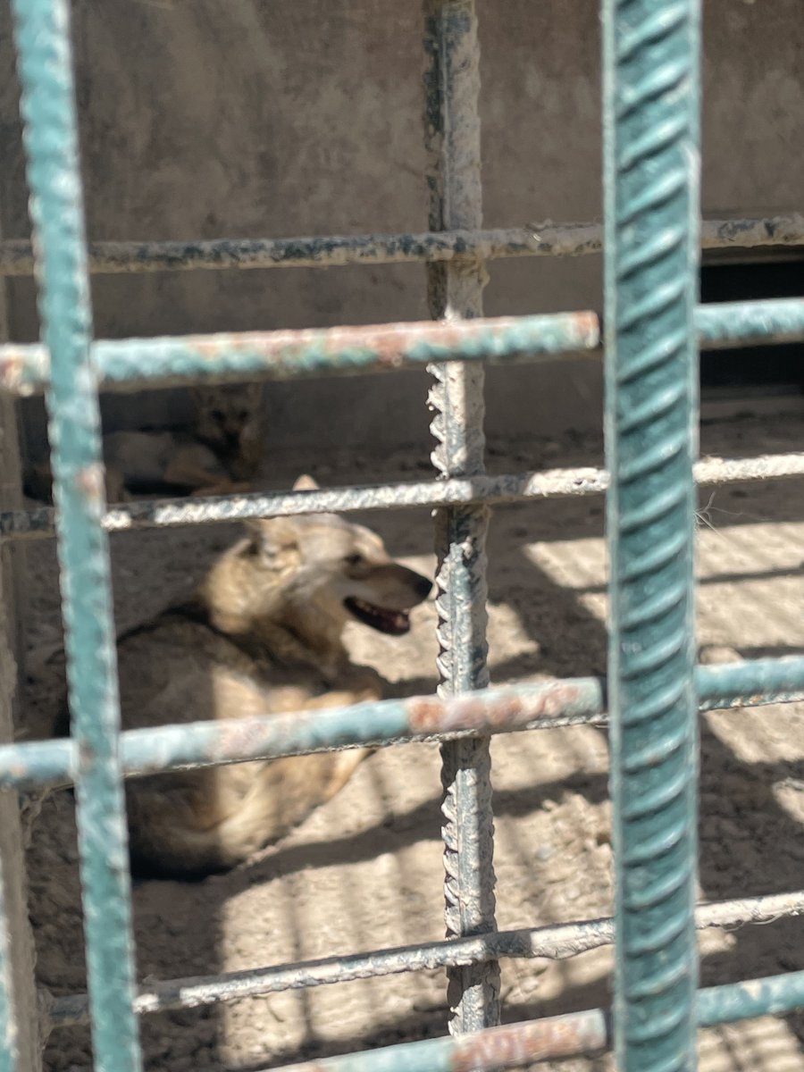 Mustafa (@mustafademrl01) on Twitter photo 