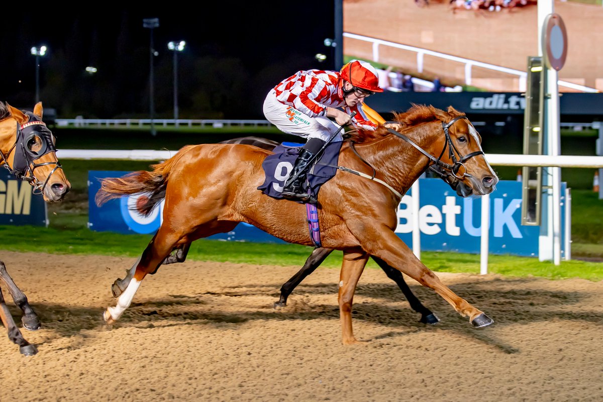 RacehorseOwner1's tweet photo. Bishop's Glory runs today @ 4.55pm @LingfieldPark in the Free Digital Racecard At https://t.co/HRAezHghV3 Handicap (Class 5) (4yo+ 0-70) (Div 11) over 1 mile - Jockey @DarraghKeenan7 - Trainer Gary &amp; Josh Moore - Owner @RacehorseOwner1 https://t.co/npnRacn5hp