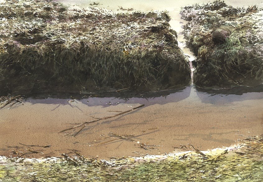 metropolis_asia's tweet photo. #ArtAsia | Explore the hyperrealistic wonders of Japanese watercolour artist Abe Toshiyuki where colours weave a narrative of their own. With an initial glance akin to photographs brought to life, Toshiyuki draws inspiration primarily from nature...  (1/4) https://t.co/88HwphlttX