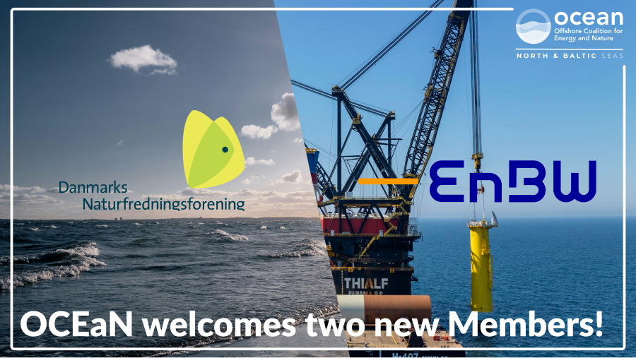 RenewablesGrid's tweet photo. Today we offer a warm welcome to the two newest Members of OCEaN - North and Baltic Seas: 

🔷@EnBW: an experienced offshore wind developer committed to achieving climate neutrality by 2035

🔷@DanmarksNatur: Denmark's largest nature conservation &amp; environmental organisation https://t.co/g4HhvWNiBj