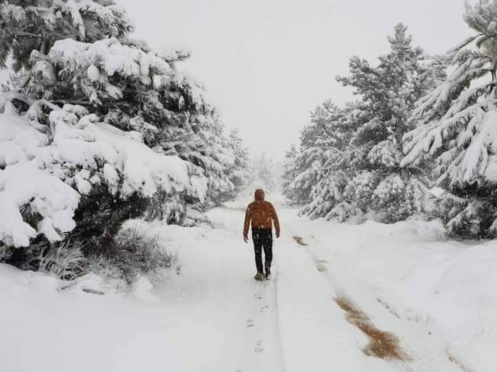 Tendaijoe's tweet image. If someone showed you these photos and said this is in South Africa, would you believe it? 

#WeatherForecast #SAWeather