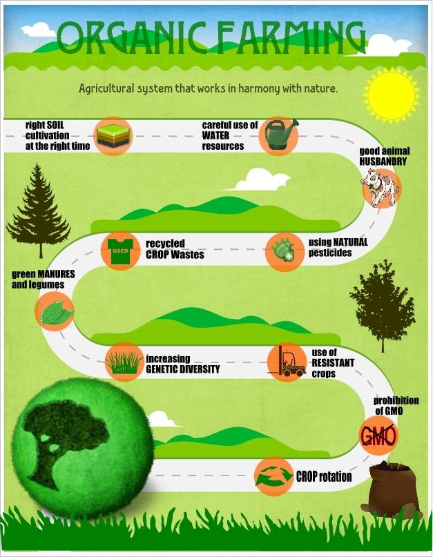 GengreenYic's tweet photo. Agri. feeds us, but some practices hurt environment

The Issues:

Plowing releases CO2
Fertilizer creates potent greenhouse gases
Clearing forests removes CO2 absorbers

The Solutions:

Conservation tillage
Precision agriculture reduces fertilizer waste &amp; emissions
Agroforestry☀️ https://t.co/2jEaA6eTcW