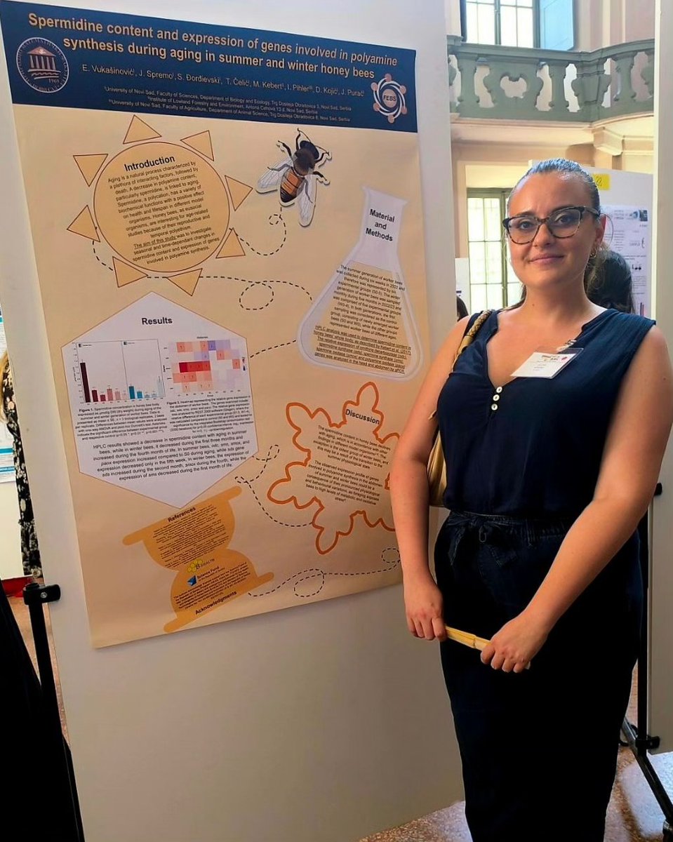 BHEALTH4's tweet photo. PhD student Jelena Spremo attended YSF that preceeded FEBS Congress in Pavia, Italy with poster presentation entitled "Spermidine content and expression of genes involved in polyamine synthesis during aging in summer and winter honey bees". #fondzanauku #programIDEJE #BHEALTH https://t.co/ym0xLeejZz