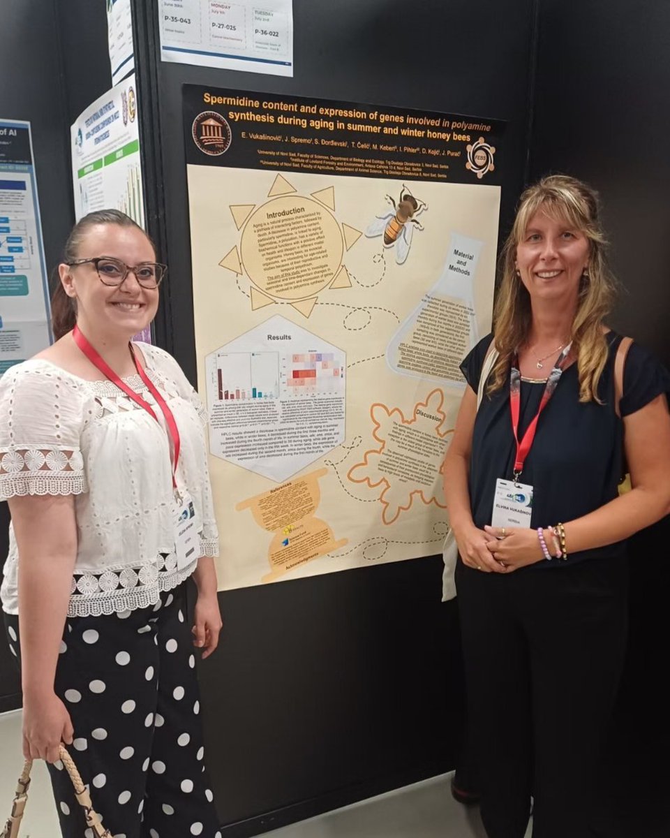 BHEALTH4's tweet photo. Dr Elvira Vukašinović, and her PhD student Jelena spremo attended 48th FEBS Congress and presented results together . #febs2024 #fondzanauku #programIDEJE #BHEALTH https://t.co/D5hj0TCbKD