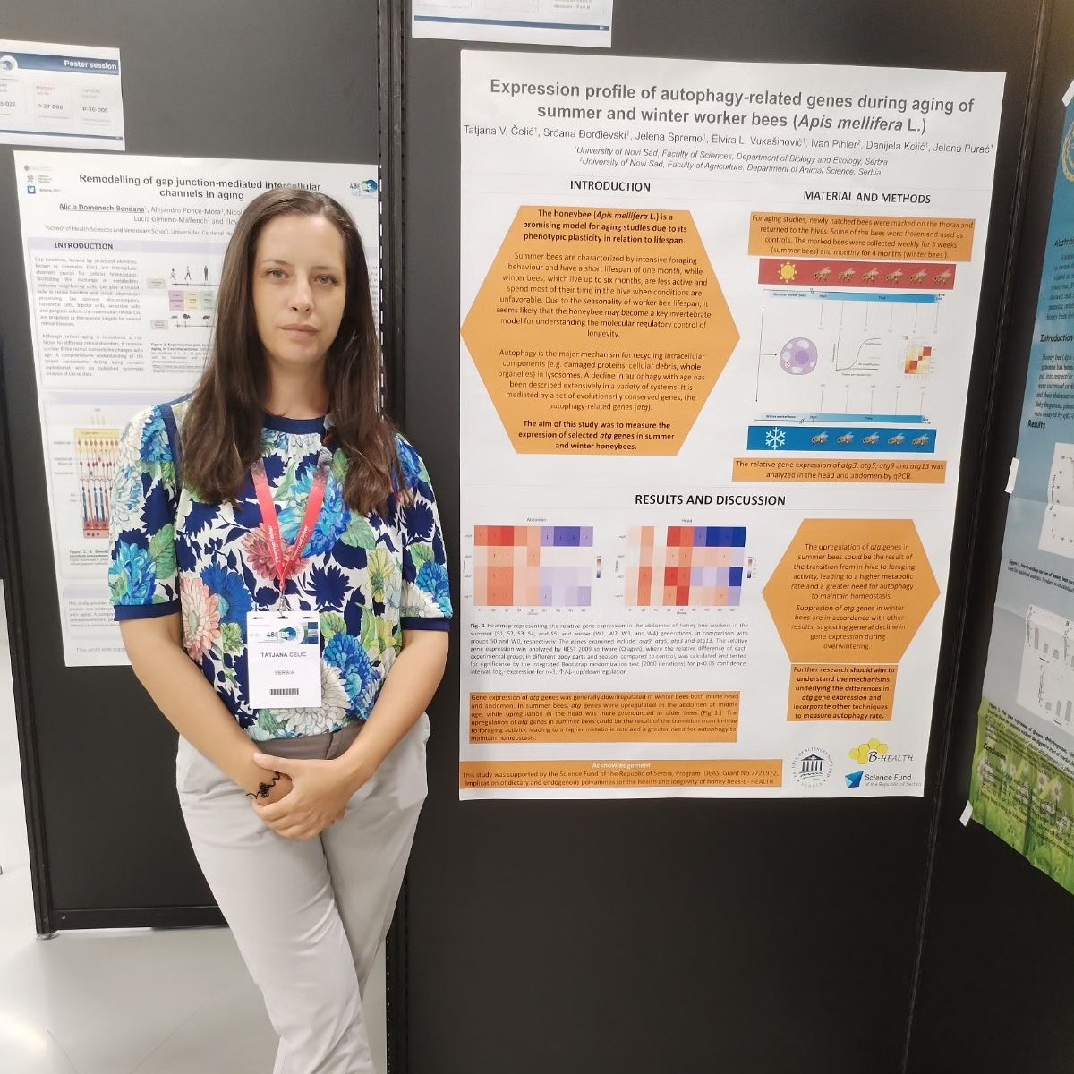 BHEALTH4's tweet photo. Tatjana Čelić presented results of the B-HEALTH project with poster "Expression profile of autophagy-related genes during aging of summer and winter worker bees (Apis mellifera L.)" at the 48th FEBS Congress in Milan, Italy. #febs2024 #fondzanauku #programIDEJE #BHEALTH https://t.co/ZSRkdnhaRn