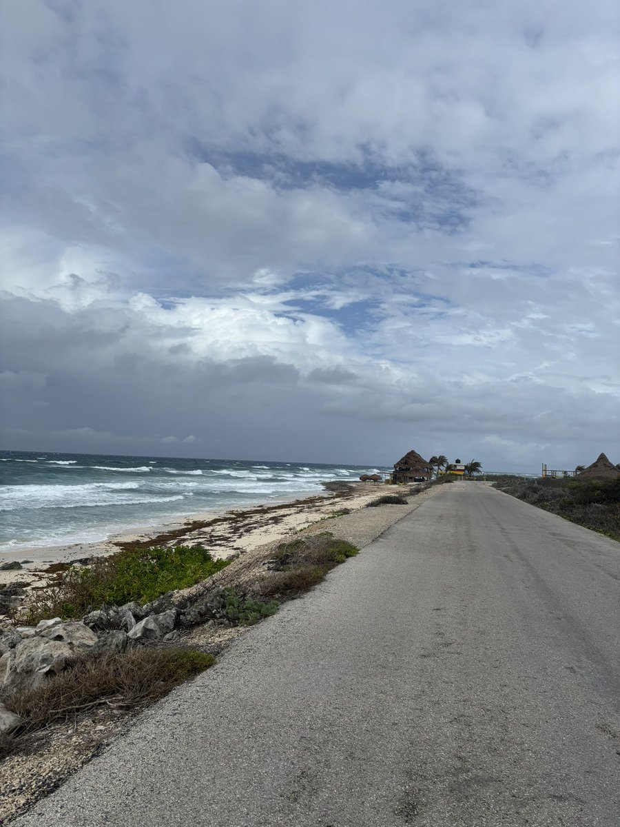 Mrs. Azzara tweet media