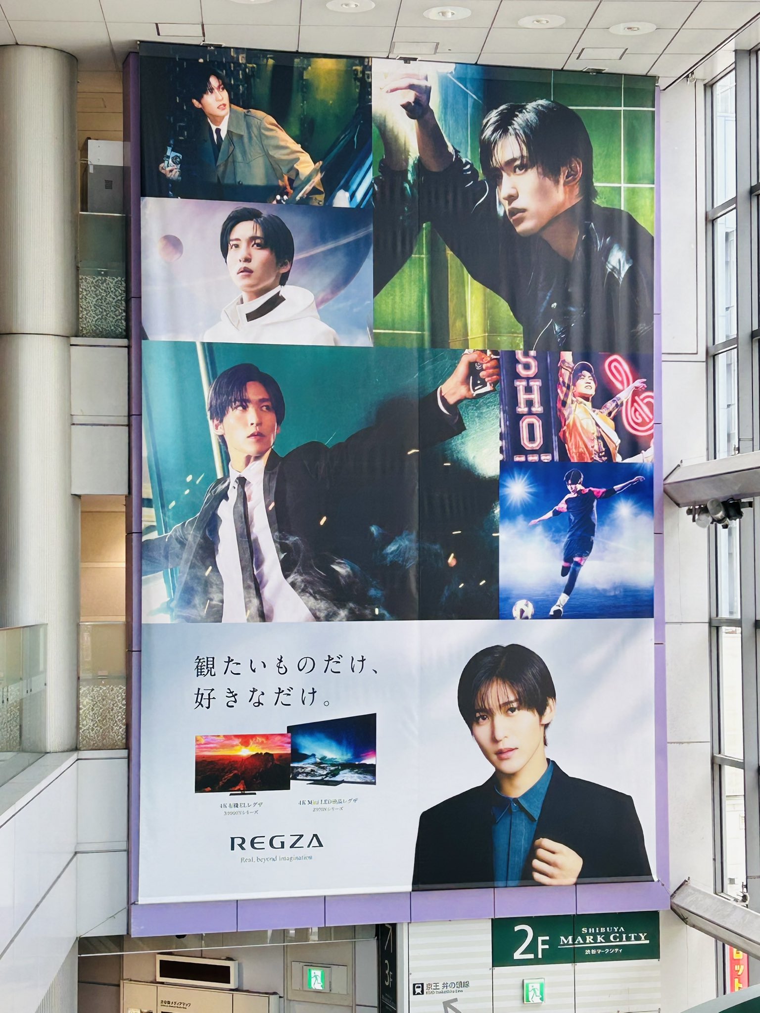 目黒蓮　REGZA　ポスター 推し活】REGZAの巨大目黒蓮さんポスターを見に行けた日 | No.237