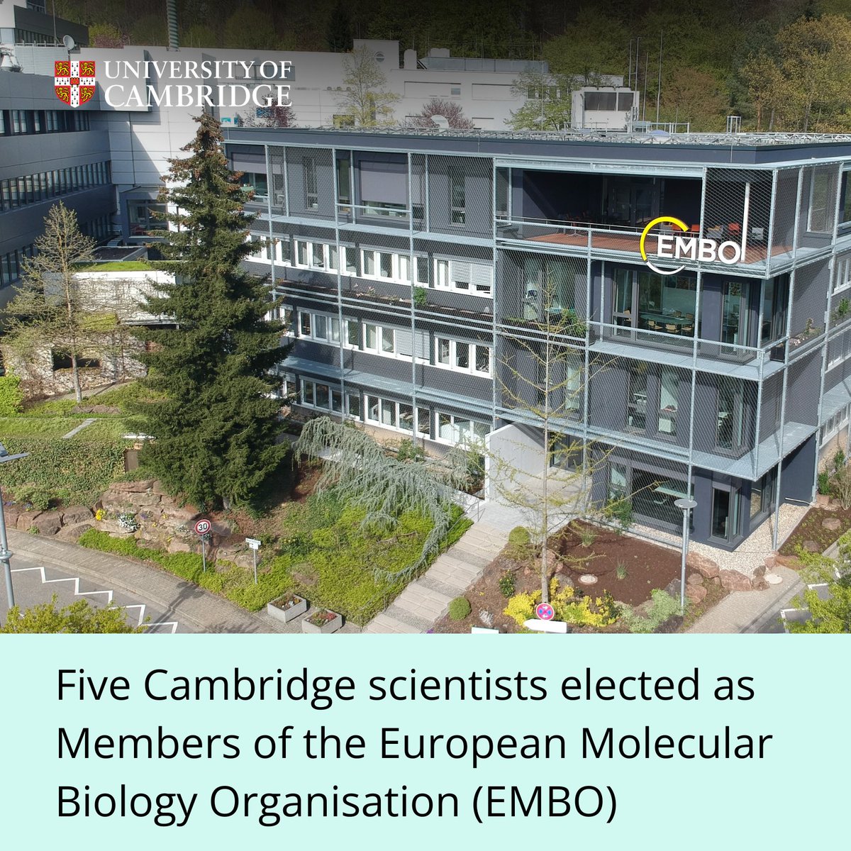 Cambridge_Uni's tweet photo. Congratulations to the five Cambridge scientists who have been elected as members of the European Molecular Biology Organisation @EMBO today! 👏
 
Read more about this honour which celebrates their research excellence and outstanding achievements 👇
https://t.co/uL5AgQKo2H https://t.co/M0vQDfBNMB