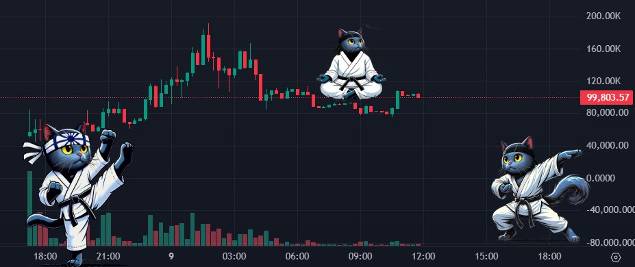 From Pumpfun to Raydium.

Live for more than 5 days on Pumpfun.

Live on Raydium for less than 24 hours.

Long term community and roadmap.

$MIYAGI