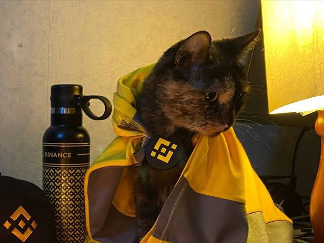 Skyne25's tweet photo. @binance @POPCATSOLANA https://t.co/5XyagvRXaa