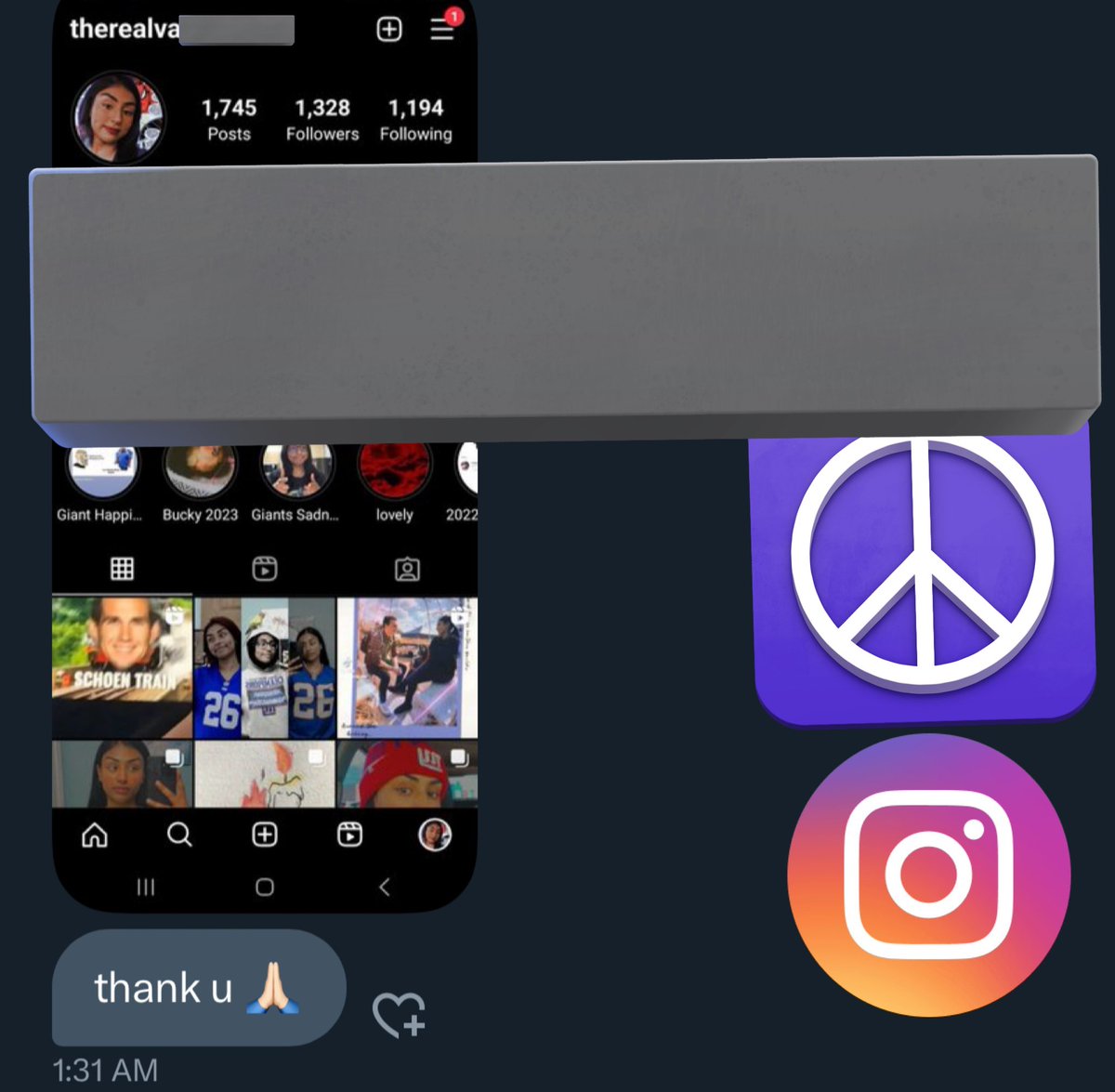 SecureNet02's tweet image. ASSESS GRANTED!