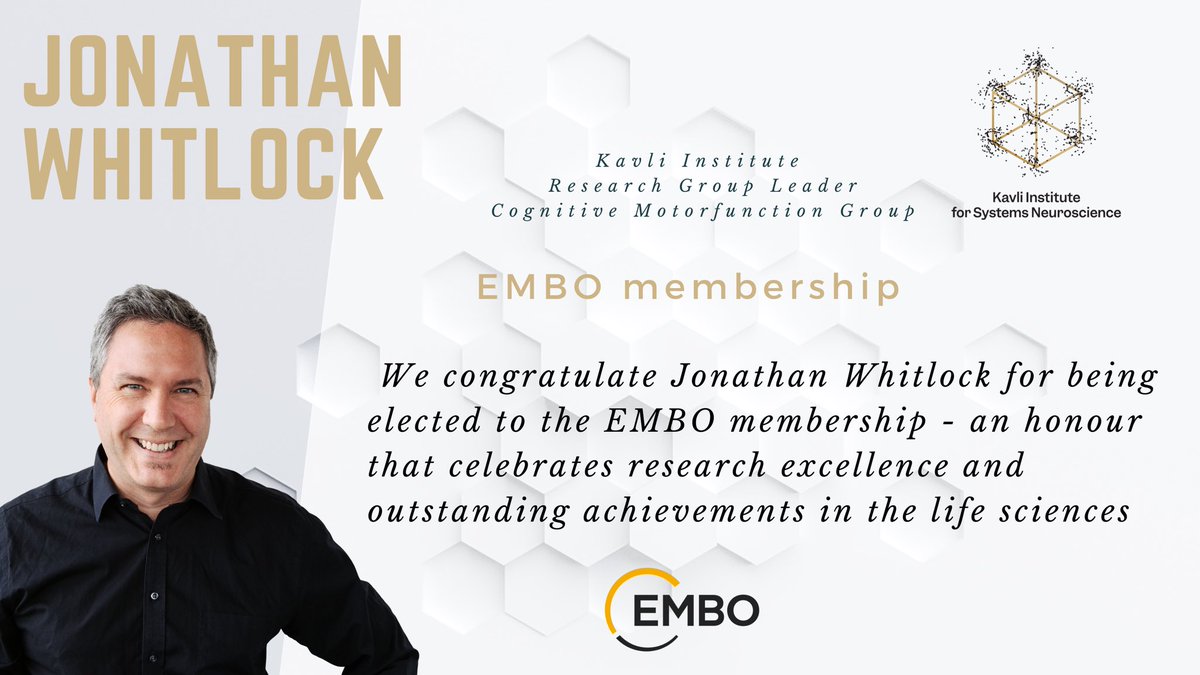 Kavli Neuroscience tweet media