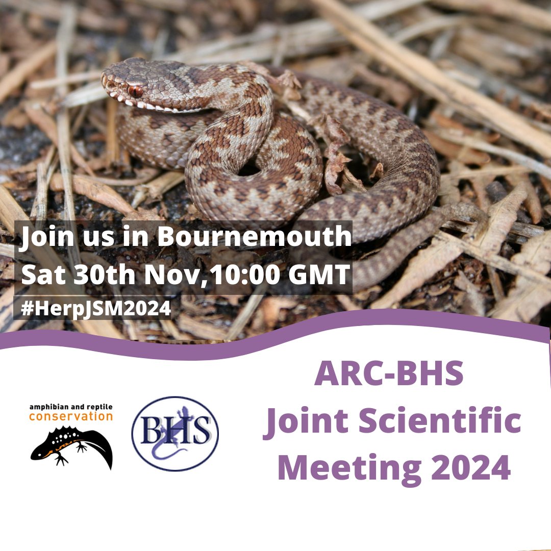 Amphibian and Reptile Conservation tweet media