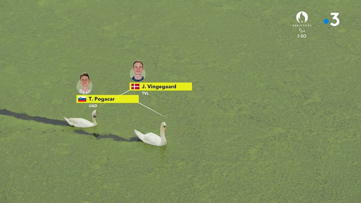 Le Gruppetto tweet media