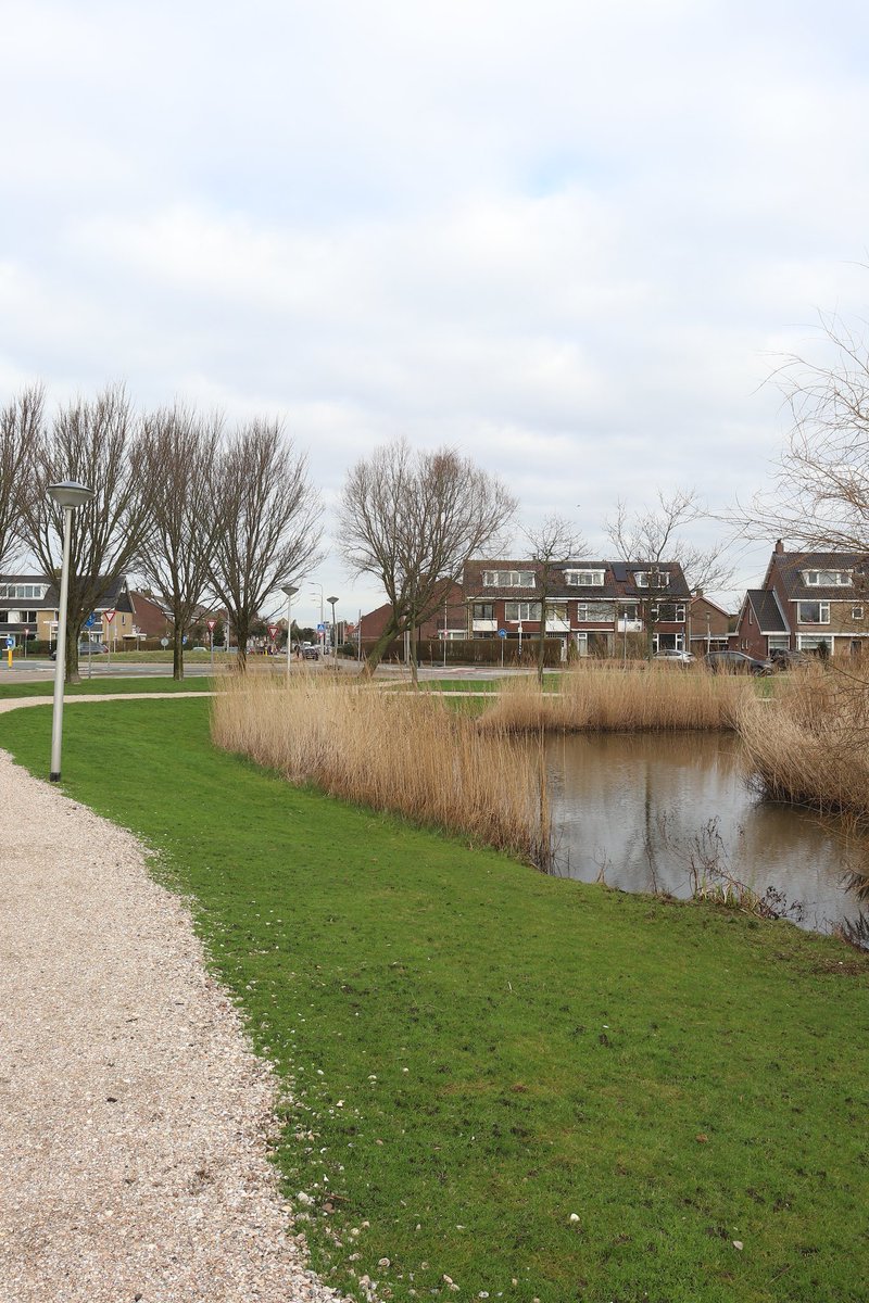 JefKPhotography's tweet photo. A photo I took while I was walking in a small park in South-Holland.
#smallpark #inatown #photography #photograph #photographs #photo #photos #picture #pictures #image #images https://t.co/eTbmVVI4Qc