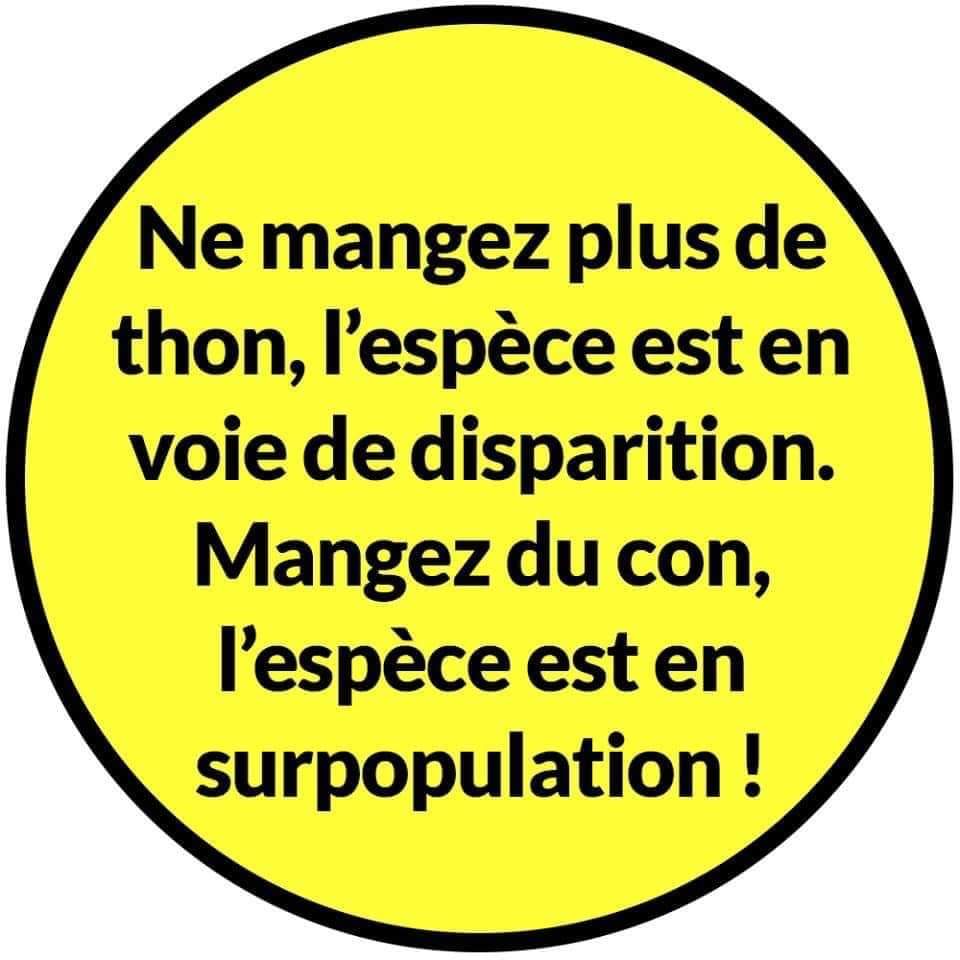 Larenza2a's tweet photo. A profusion en ce moment 😤
#Techja https://t.co/J6nre9TivR