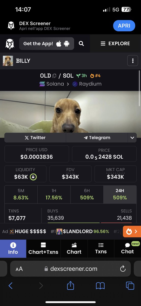 honeycallss's tweet photo. @Thorshammergems Imagine $OLD will get the same marketcap as $BILLY (they are literally the same dog, Billy ain’t a puppy no more)

7KV867yRwdRP8xT4GCrjvKkz447LgdLFGfTRvzLCpump

@oldbillycto https://t.co/5qpIqnuVXF