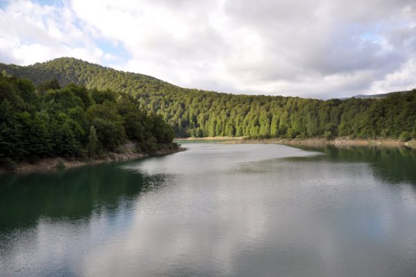 Irati Biosfera Erreserba moduan sailkatu du UNESCOk. Erabakiaz, prozesuaz eta etorkizunaz elekatu gara Aezkoako Batzarre Nagusiko lehendakaria den Karlos Bueno Rekarekin #Irati #BiosferaErreserba

iratiirratia.eus/index.php/2024…