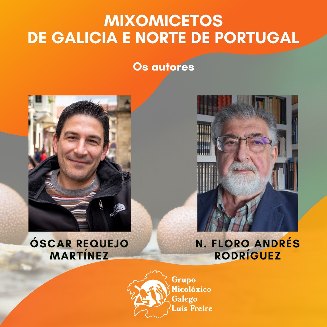 Grupo Micolóxico Galego Luís Freire tweet media