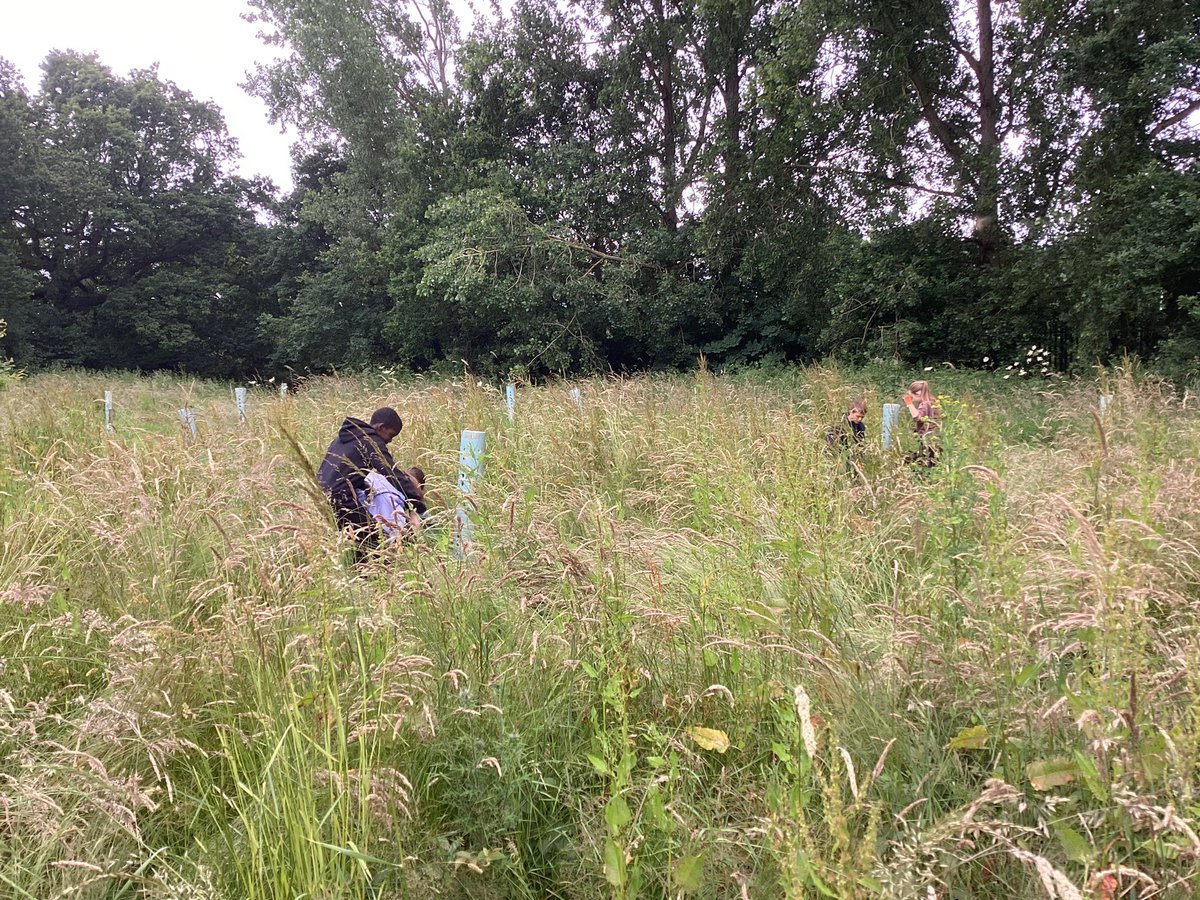 SaintPetersSch's tweet photo. Our children have been working hard to help look after the community orchard in Bartley Green. We are truly living out value of service in our community #StPetersValues #StPetersCatholicLife https://t.co/KYCnbKh9pi