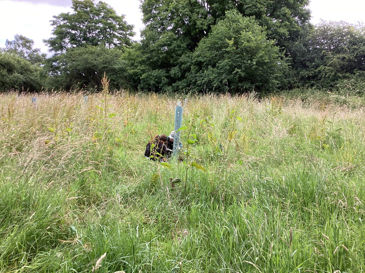 SaintPetersSch's tweet photo. Our children have been working hard to help look after the community orchard in Bartley Green. We are truly living out value of service in our community #StPetersValues #StPetersCatholicLife https://t.co/KYCnbKh9pi