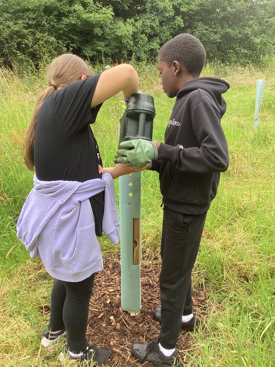 SaintPetersSch's tweet photo. Our children have been working hard to help look after the community orchard in Bartley Green. We are truly living out value of service in our community #StPetersValues #StPetersCatholicLife https://t.co/KYCnbKh9pi