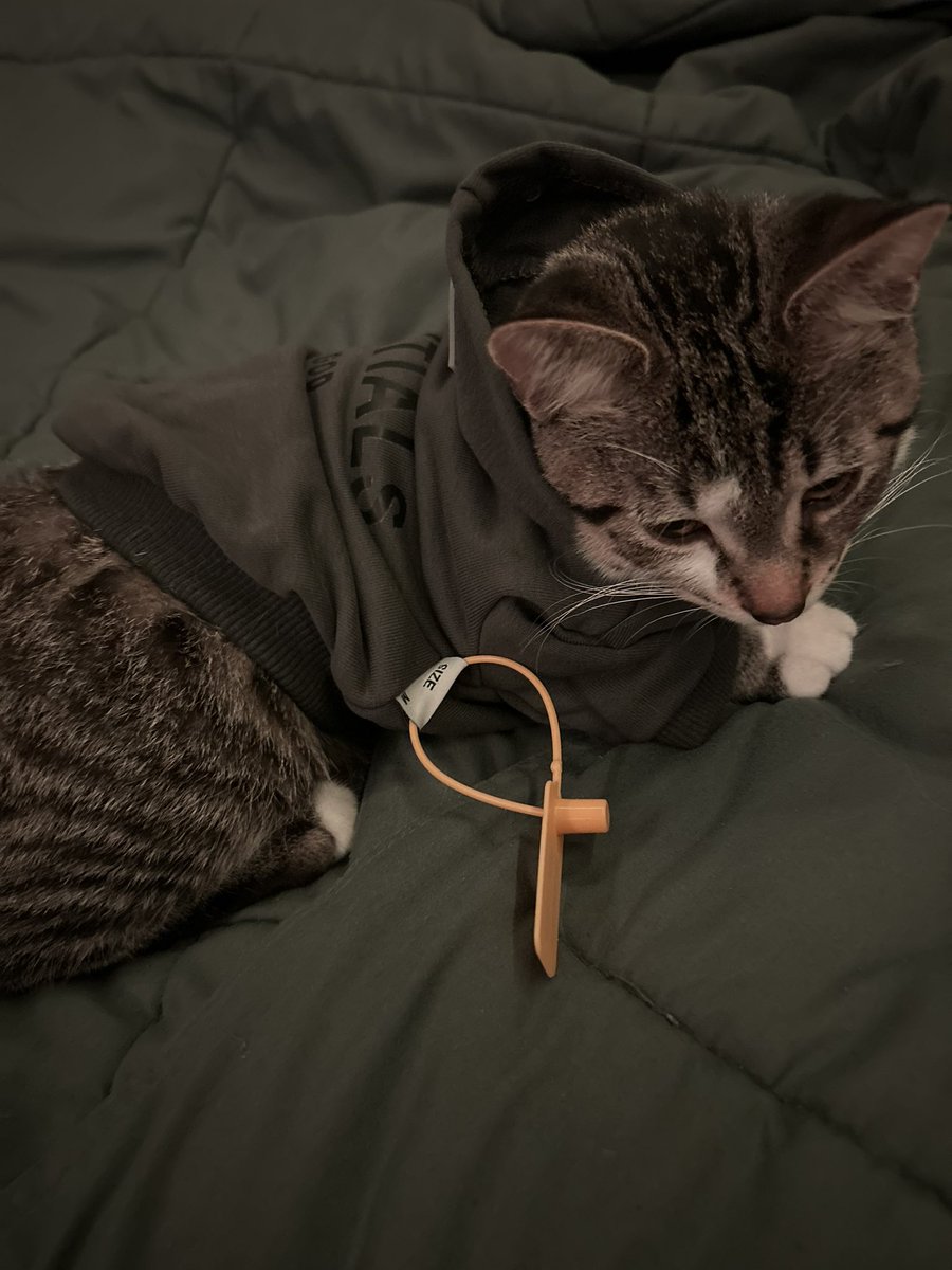 Reckon_Val's tweet photo. i dont think he likes the hood😭 https://t.co/fKzcTl3Frh