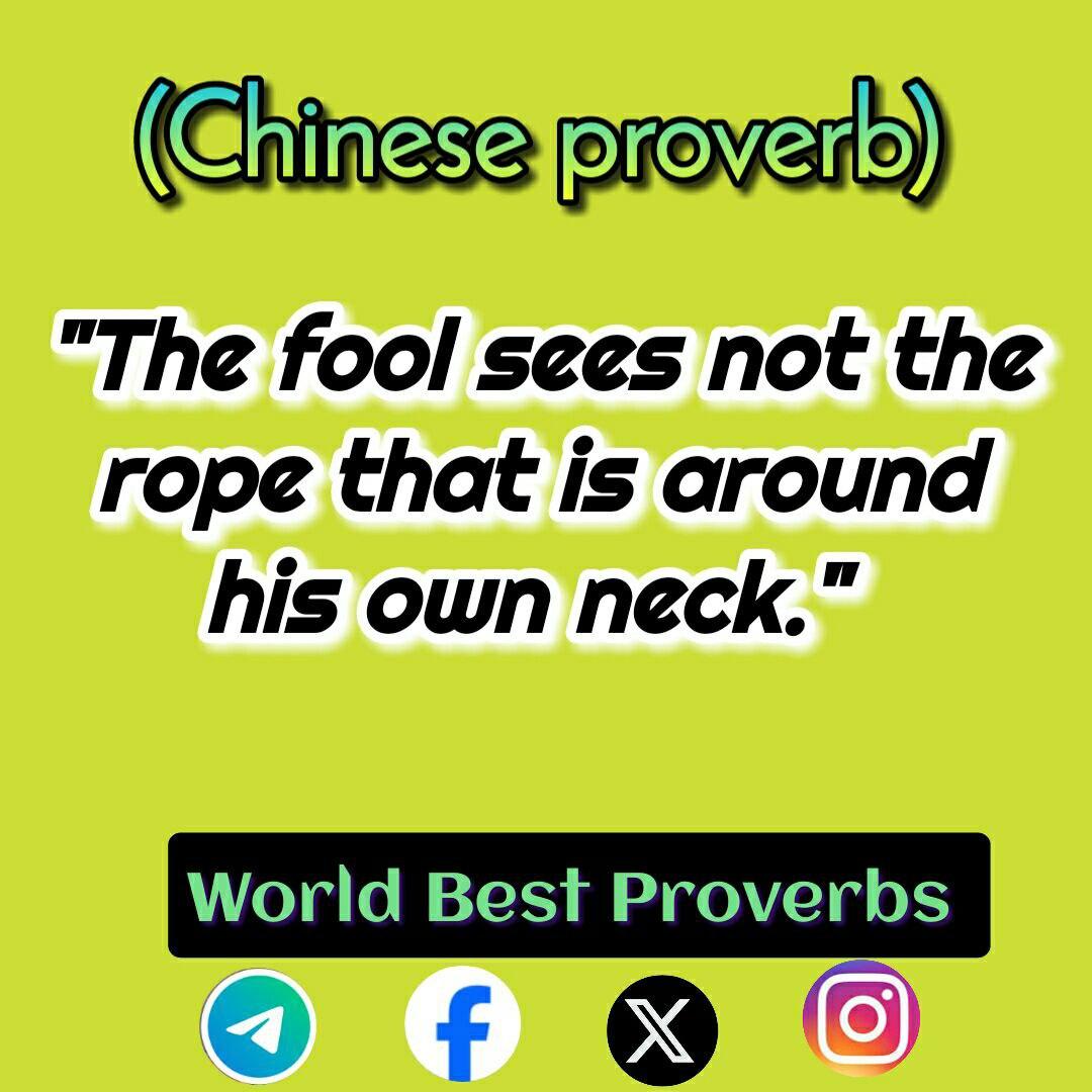 wbproverbs tweet picture