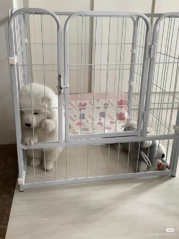 ไม่มีไครักเราจิงสักคน