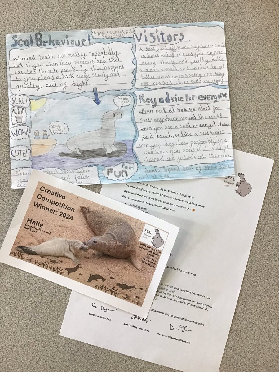 Congratulations to Halle; our winner in the Cornwall Seal Group Research Trust school competition. 
Children were asked to present information about seals, and how people should behave around them, in a creative and informative way. 
We think you did a great job, Halle.