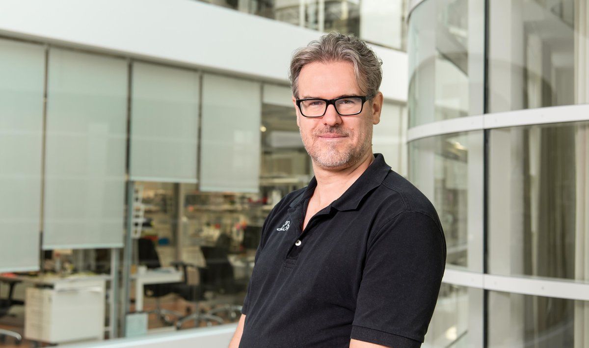 MPI for Biology of Ageing (@mpiage) on Twitter photo 🌟Exciting News 🌟
Ivan Matić has been elected elected as a new EMBO member for outstanding achievements in life sciences! 🎉 Congratulations, Ivan, on this well-deserved recognition! <a href="/Lab_Matic/">The Matic Lab</a> <a href="/EMBO/">EMBO</a> @cecad_ @unicologne <a href="/CGA_age/">Cologne Graduate School of Ageing Research</a>
#EMBOMember
buff.ly/3VVdtes 🌟Exciting News 🌟
Ivan Matić has been elected elected as a new EMBO member for outstanding achievements in life sciences! 🎉 Congratulations, Ivan, on this well-deserved recognition! <a href="/Lab_Matic/">The Matic Lab</a> <a href="/EMBO/">EMBO</a> @cecad_ @unicologne <a href="/CGA_age/">Cologne Graduate School of Ageing Research</a>
#EMBOMember
buff.ly/3VVdtes